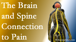 Poulin Chiropractic of Herndon and Ashburn shares at the connection between the brain and spine in back pain patients to better help them find pain relief.