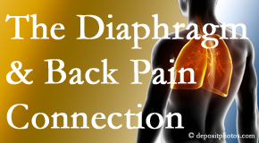 Poulin Chiropractic of Herndon and Ashburn knows the relationship of the diaphragm to the body and spine and back pain. 