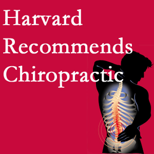 Poulin Chiropractic of Herndon and Ashburn offers chiropractic care like Harvard recommends.