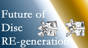 Poulin Chiropractic of Herndon and Ashburn shares new research about the role of spinal manipulation in potentially regenerating degenerated discs.