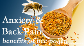 Poulin Chiropractic of Herndon and Ashburn presents info on the benefits of bee pollen on cognitive function that may be impaired when dealing with back pain.