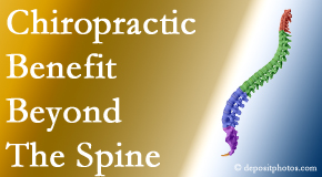 Poulin Chiropractic of Herndon and Ashburn chiropractic care benefits more than the spine particularly when the thoracic spine is treated!