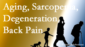 Poulin Chiropractic of Herndon and Ashburn relieves a lot of back pain and sees a lot of related sarcopenia and back muscle degeneration.