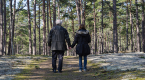 Ashburn and Herndon chiropractic treatment plan with walking as exercise for back pain relief