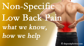 Poulin Chiropractic of Herndon and Ashburn describes the specific characteristics and treatment of non-specific low back pain. 