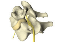 cervical spine no pain with Ashburn and Herndon chiropractic 