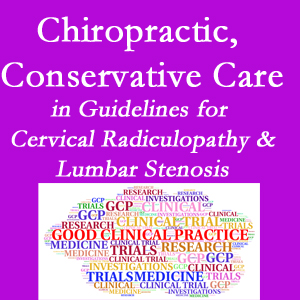 Ashburn and Herndon chiropractic care for cervical radiculopathy and lumbar spinal stenosis is often ignored in medical studies and guidelines despite documented benefits. 