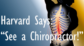 Ashburn and Herndon chiropractic for back pain relief urged by Harvard