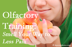 Chronic Ashburn and Herndon back pain may be helped by olfactory training which uses smelling scents to desensitize the sufferer to the pain.