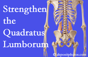 Ashburn chiropractic care offers exercise recommendations to strengthen spine muscles like the quadratus lumborum as the back heals and recovers.