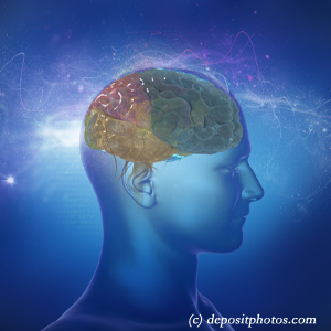 image of a brain for cognition influenced by balance that Ashburn and Herndon chiropractic can help
