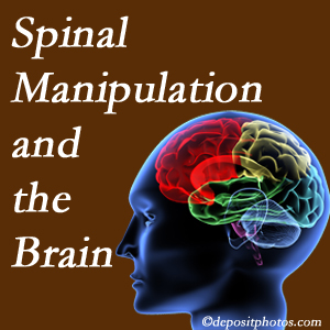 Poulin Chiropractic of Herndon and Ashburn [presents research on the benefits of spinal manipulation for brain function. 