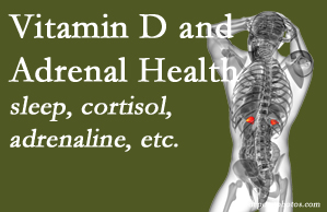 Poulin Chiropractic of Herndon and Ashburn shares new studies about the effect of vitamin D on adrenal health and function.
